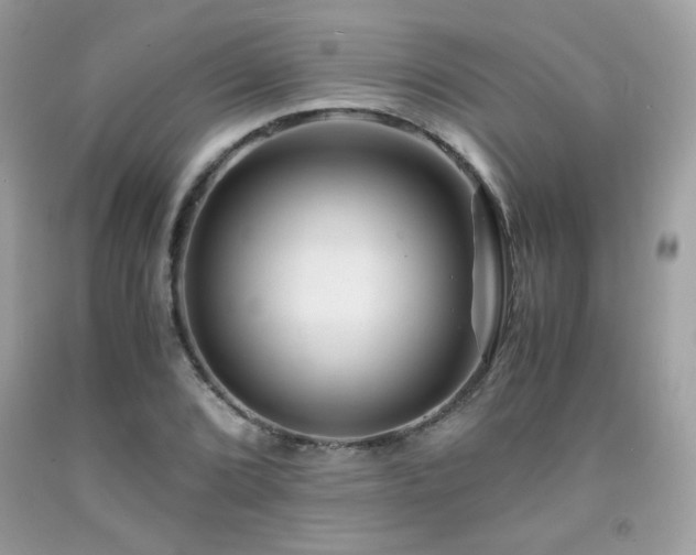 X0000092021072200709061548