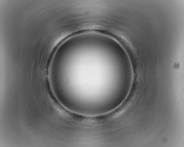 X0000092021073200709061548
