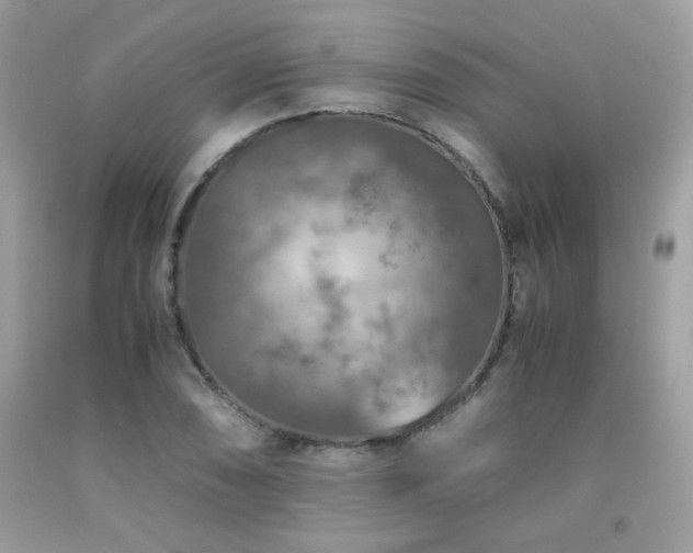 X0000092021074200709061548