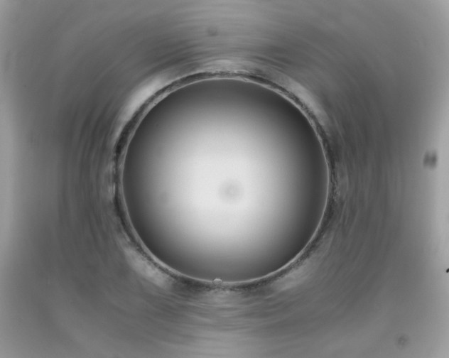 X0000092021075200709061548
