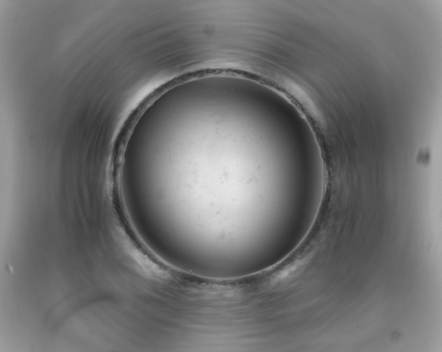 X0000092021076200709061548