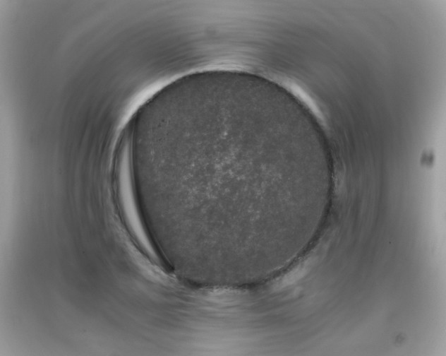 X0000092021077200709061548