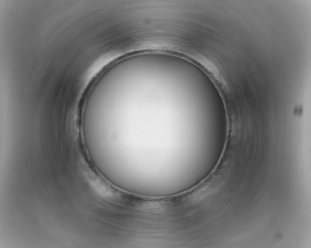 X0000092021078200709061548