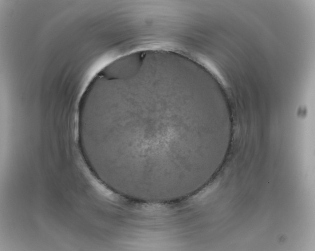 X0000092021079200709061548
