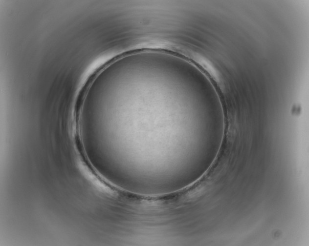 X0000092021080200709061548
