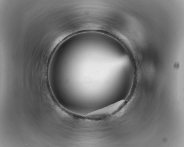 X0000092021081200709061548