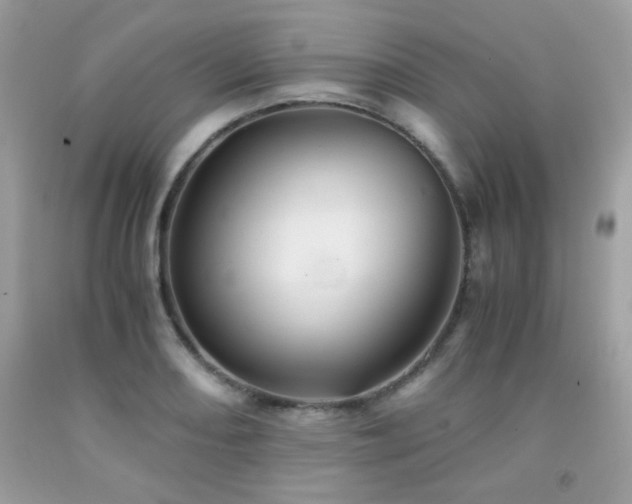 X0000092021082200709061548