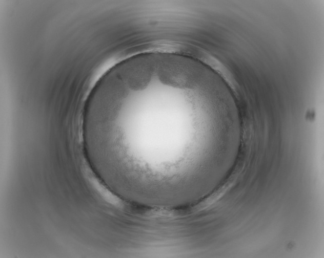 X0000092021083200709061548