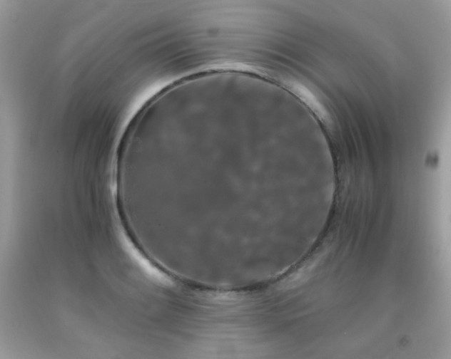 X0000092021084200709061548