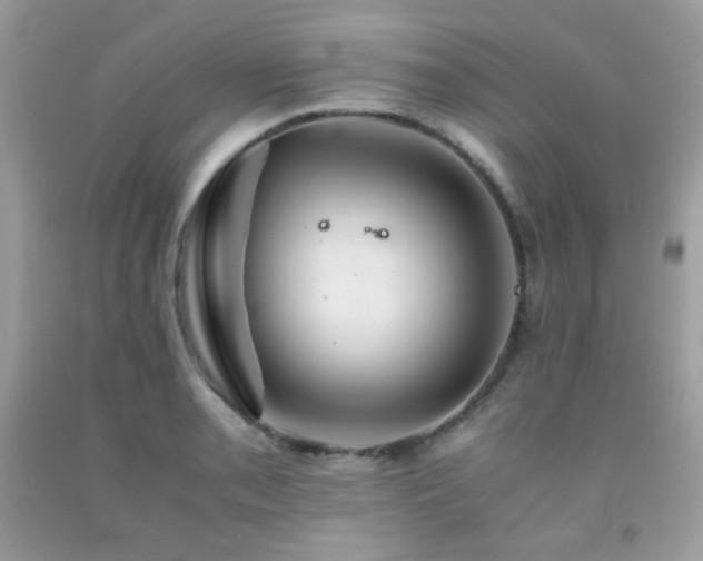 X0000092021085200709061548