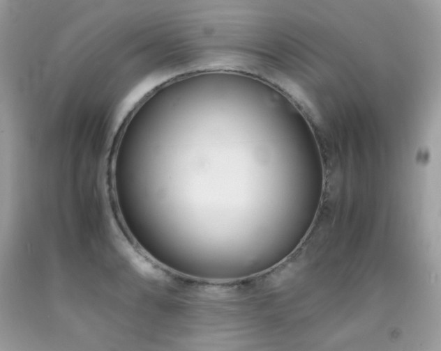 X0000092021086200709061548