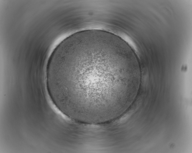 X0000092021088200709061548
