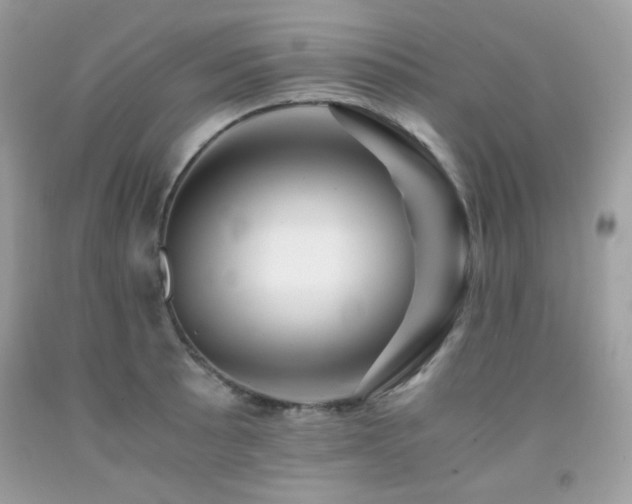 X0000092021089200709061548