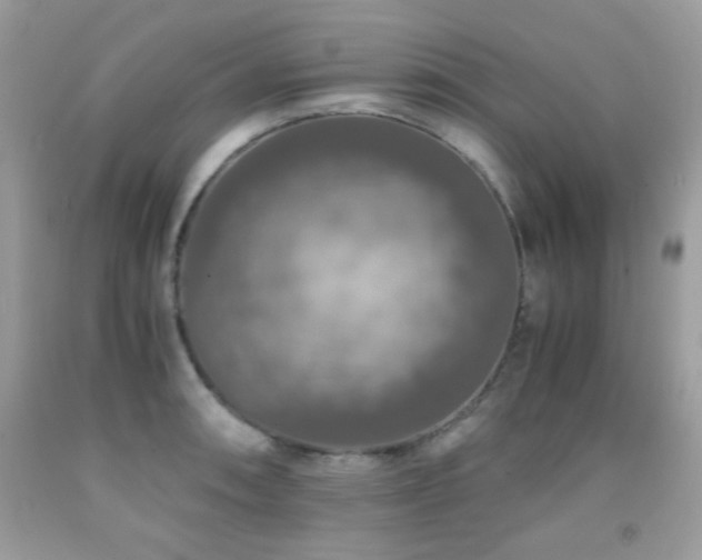 X0000092021090200709061548