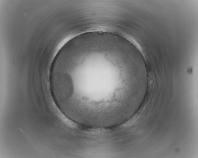 X0000092021091200709061548
