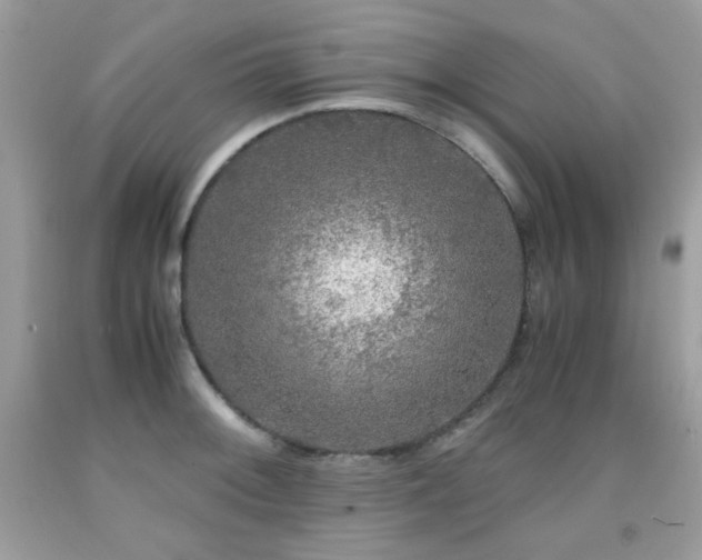 X0000092021092200709061548