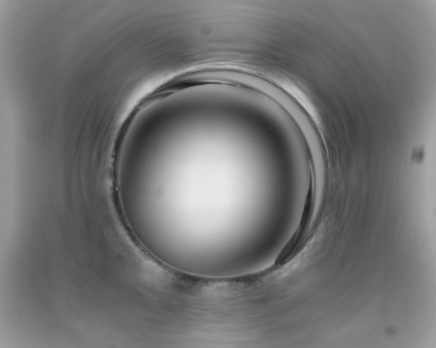 X0000092021093200709061548