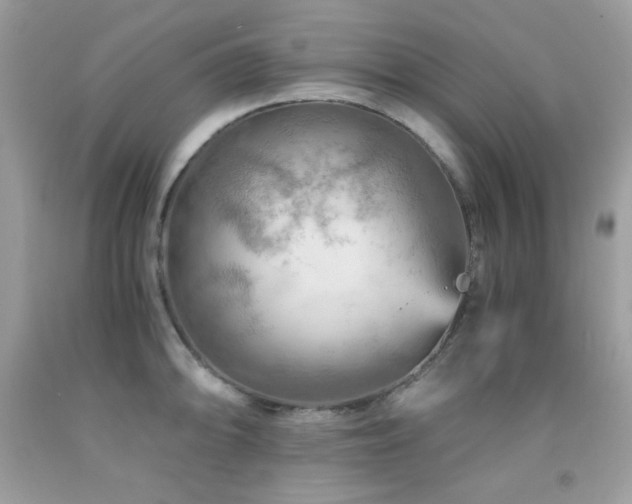 X0000092021094200709061548