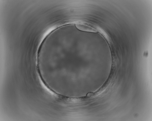 X0000092021095200709061548