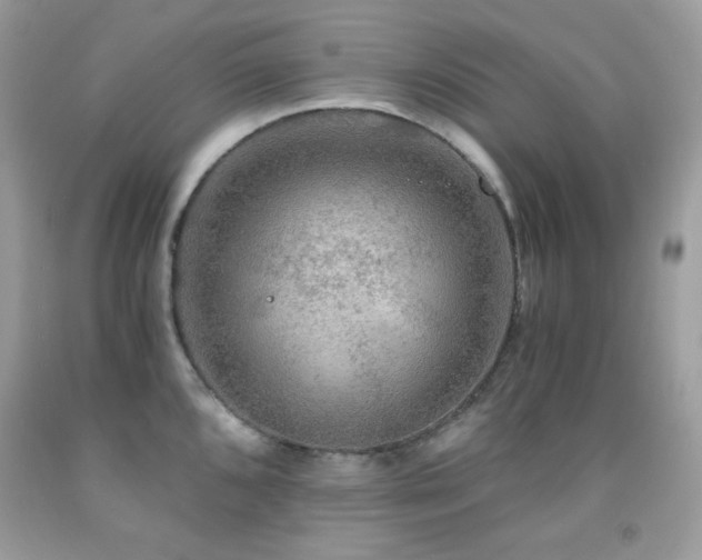 X0000092021096200709061548