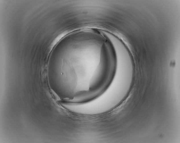 X0000092021097200709061548