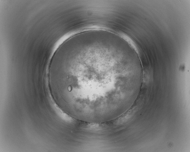 X0000092021098200709061548