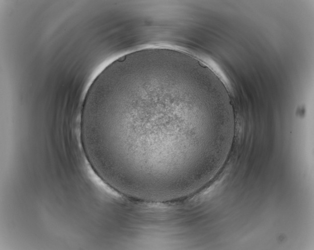 X0000092021100200709061548