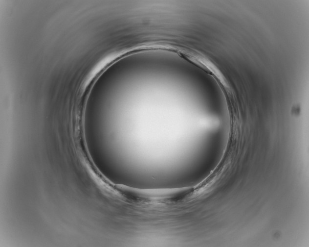 X0000092021101200709061548