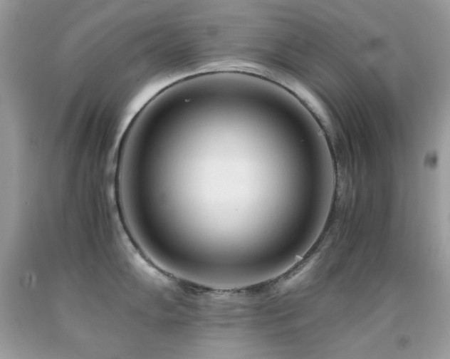 X0000092021102200709061548