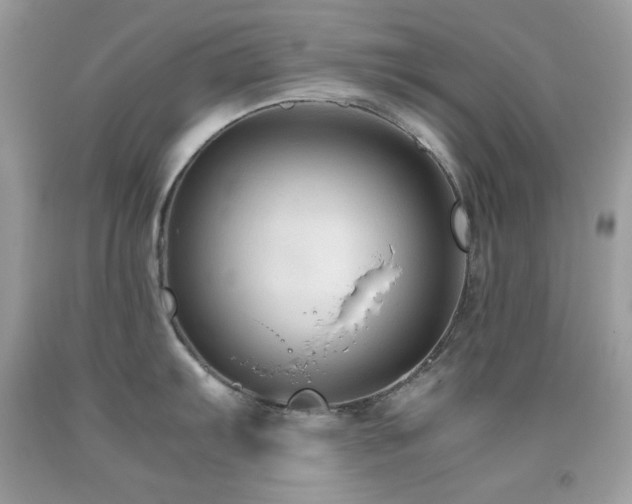 X0000092021103200709061548