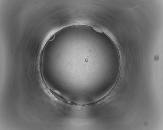 X0000092021104200709061548