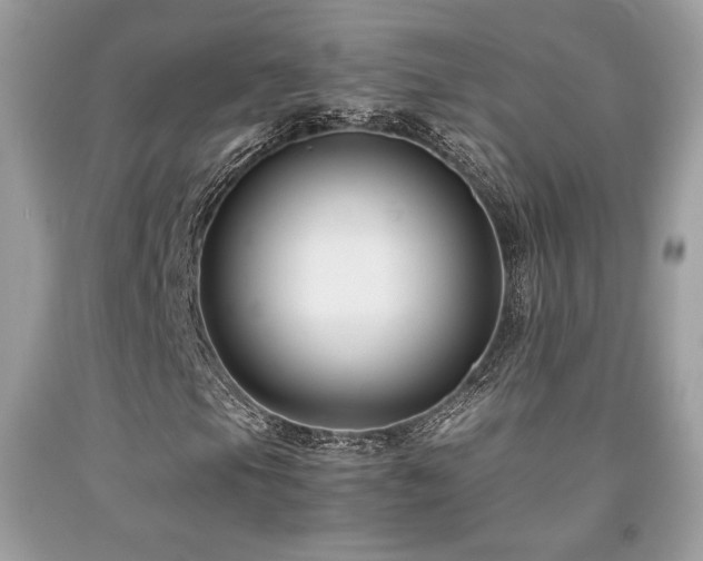 X0000092021105200709061547