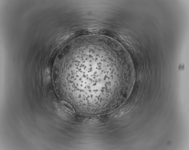 X0000092021106200709061547