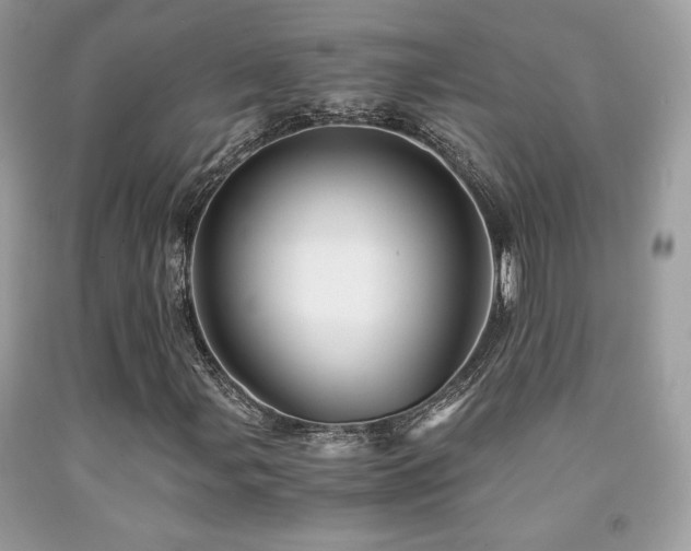 X0000092021107200709061547