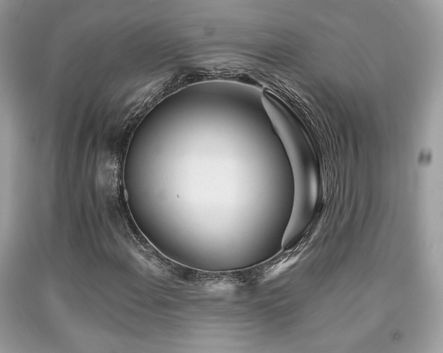 X0000092021108200709061547