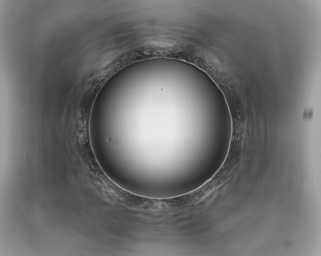 X0000092021109200709061547