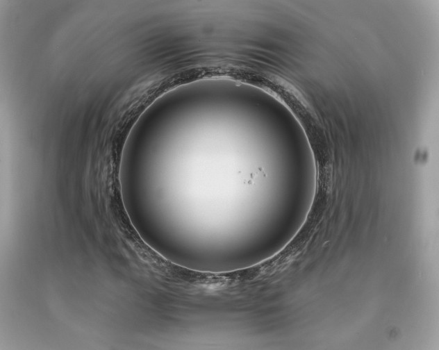 X0000092021111200709061547