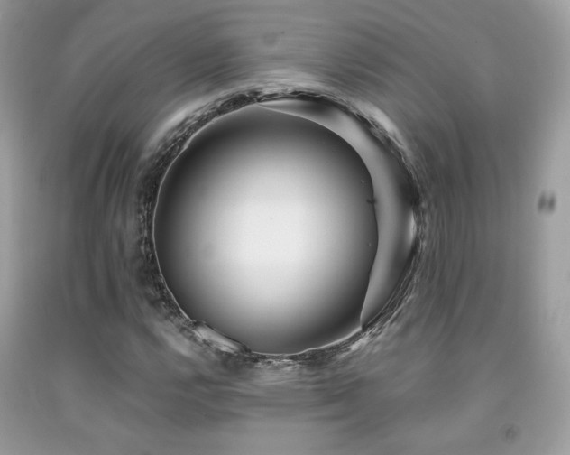 X0000092021112200709061547