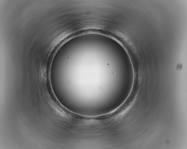 X0000092021113200709061547