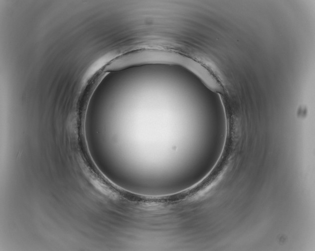 X0000092021114200709061547