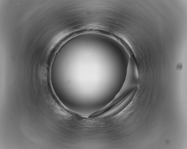 X0000092021115200709061547