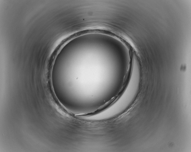 X0000092021116200709061547
