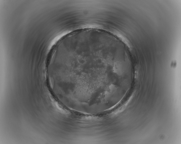 X0000092021117200709061547