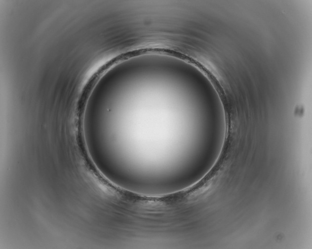 X0000092021119200709061547
