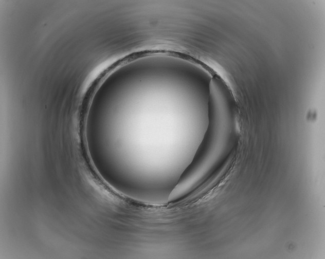 X0000092021120200709061547