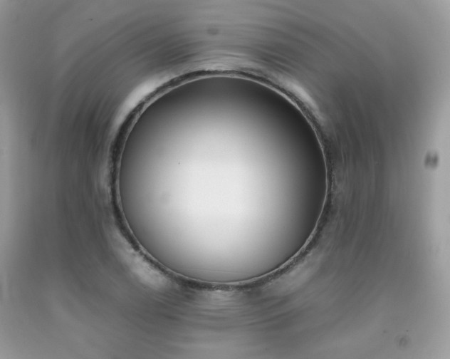 X0000092021122200709061547