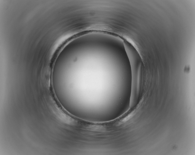 X0000092021123200709061547