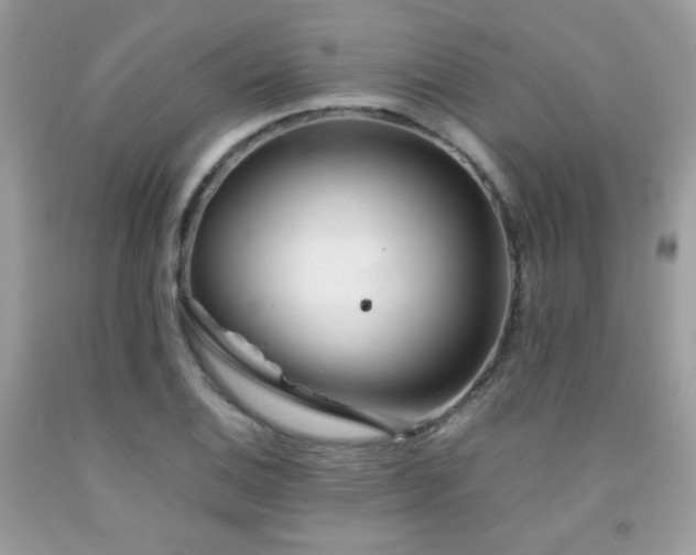 X0000092021124200709061547