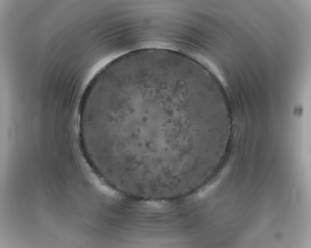 X0000092021125200709061548