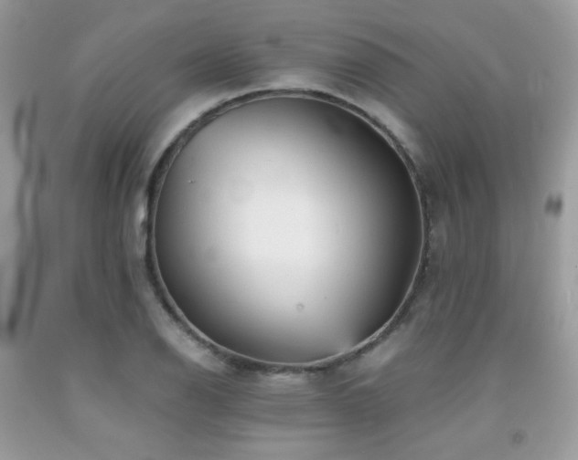 X0000092021126200709061548